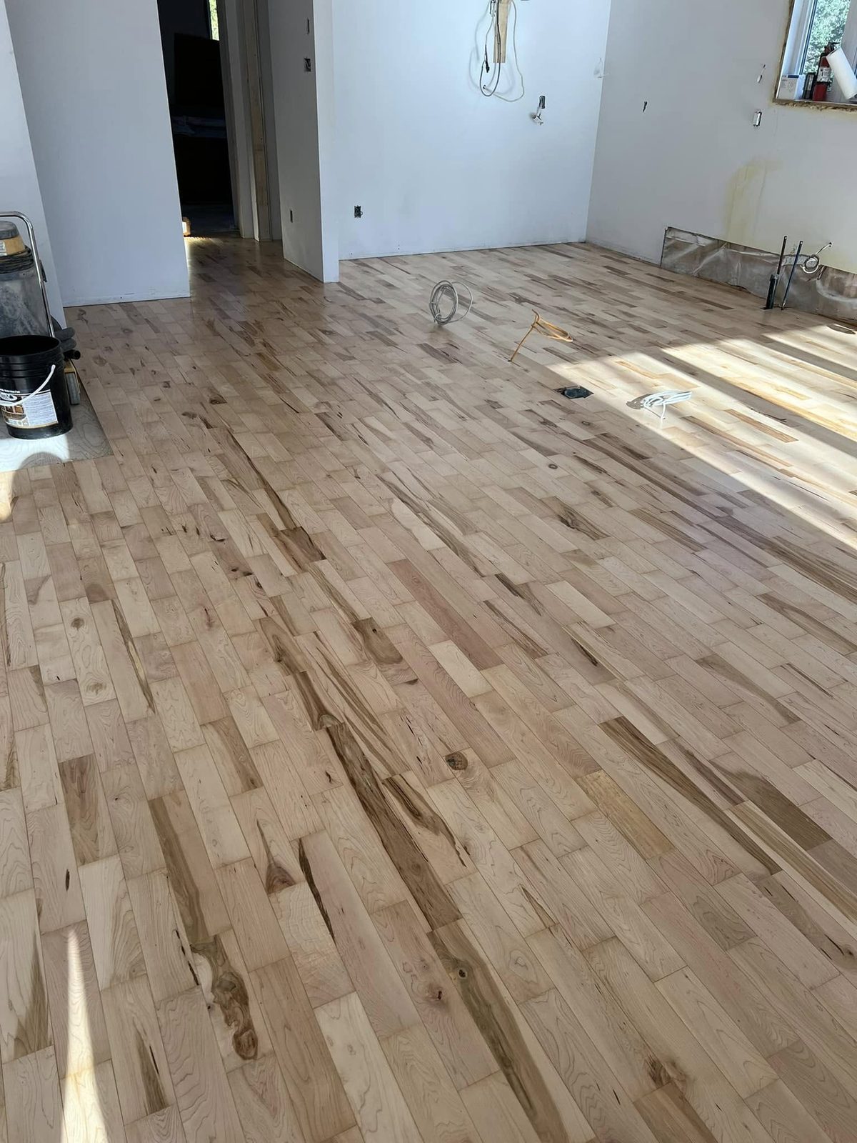 Grand plancher de bois franc d'érable dans une aire ouverte ensoleillée